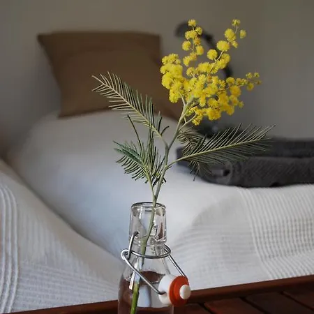 Bed & Breakfast Escapad'oc
